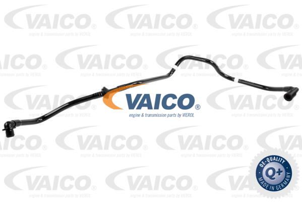 VAICO Unterdruckschlauch, Bremskraftverstärker V10-3651 - Unterdruckschlauch,  Bremsanlage für Ihr Auto günstig online